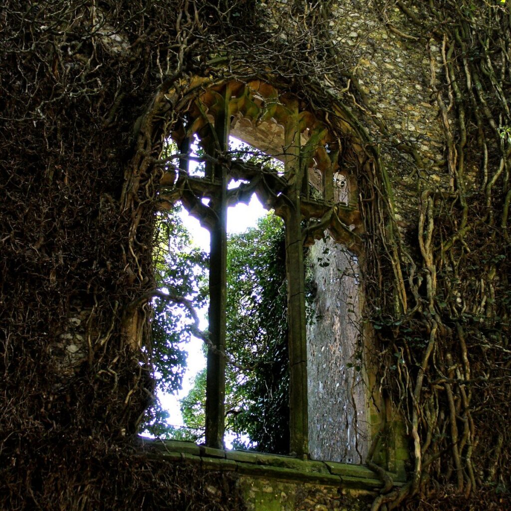Overgrown vines engulf a gothic window frame
